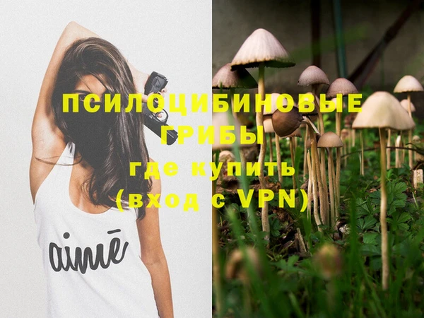 ALPHA PVP Армянск
