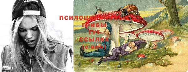 таблы Алексеевка