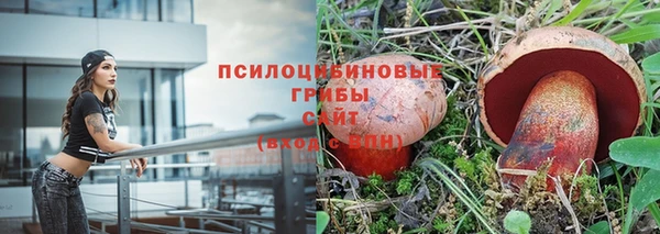 таблы Алексеевка